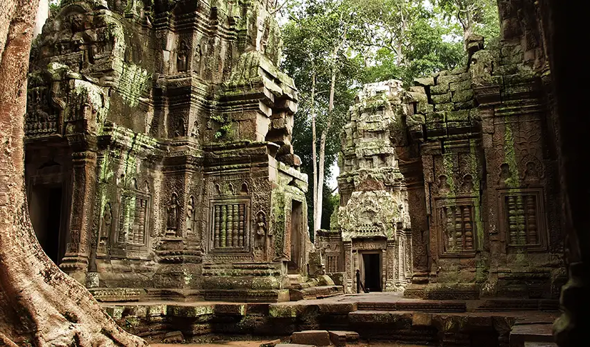 Ta Prohm Cambodia